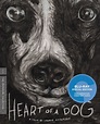 Heart of a Dog by Laurie Anderson, Laurie Anderson | Blu-ray | Barnes ...