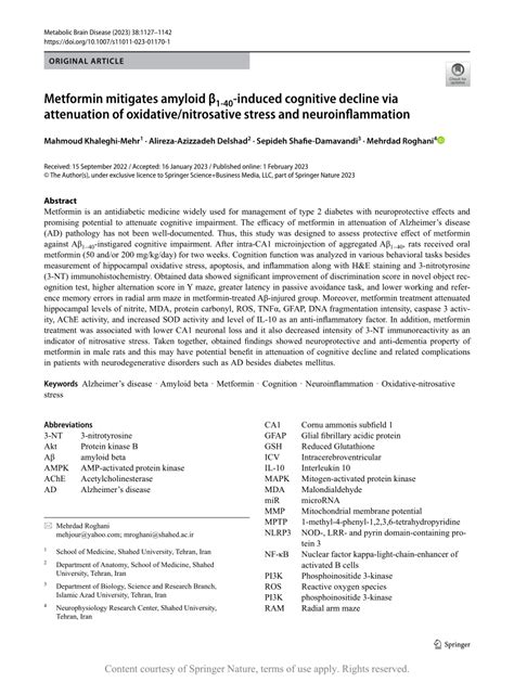 Metformin Mitigates Amyloid β1 40 Induced Cognitive Decline Via