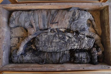 Saqqara Archeological Discovery Yields Possible Lion Cub Mummies Egyptian Streets