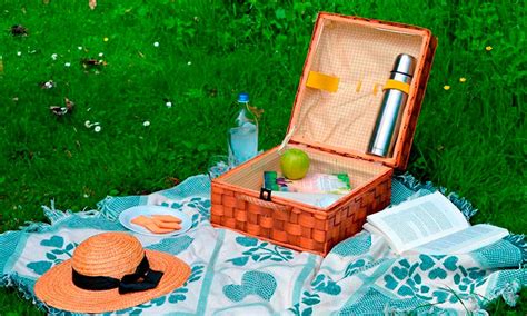 tips para disfrutar de un picnic perfecto la española aceites