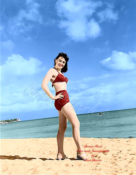 Donna Reed Donna Reed Classic Actresses Vintage Swimwear