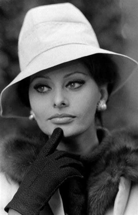 Sophia Loren Sophia Loren Sofia Loren Old Hollywood