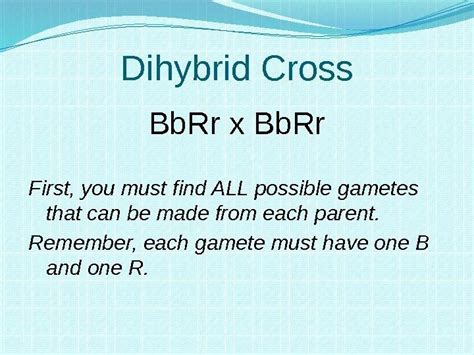 A) a monohybrid cross involves a single parent, whereas a dihybrid cross involves two parents. Heredity and Genetics Part Two Dihybrid Crosses