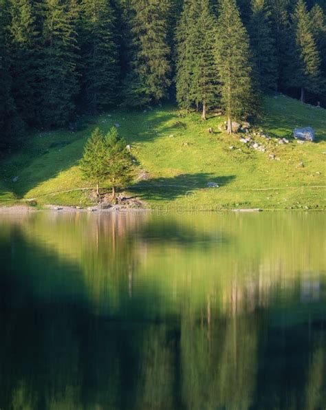 Landscape In The Switzerland Forest And Lake Reflection On The Water