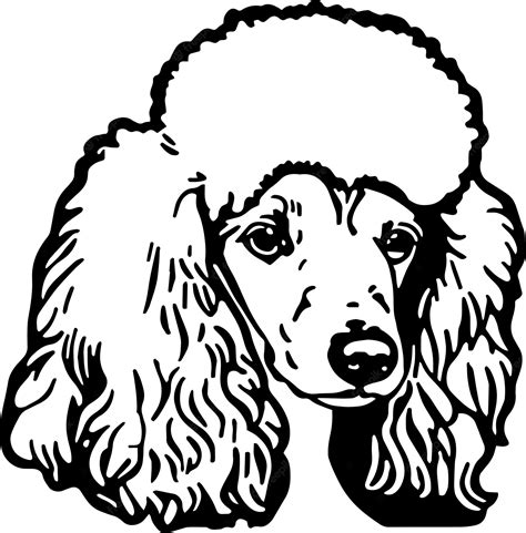 Premium Vector Poodle Head Dog Vector Illustration