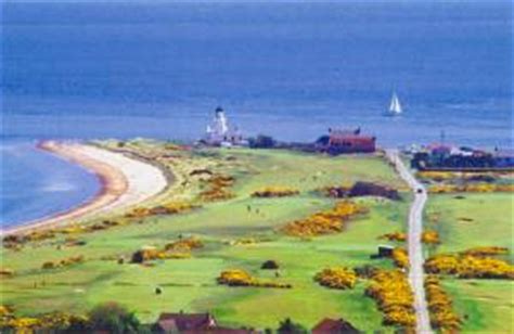 Do you need to book in advance to visit chanonry point? Golf tours with private driver guide in Scotland