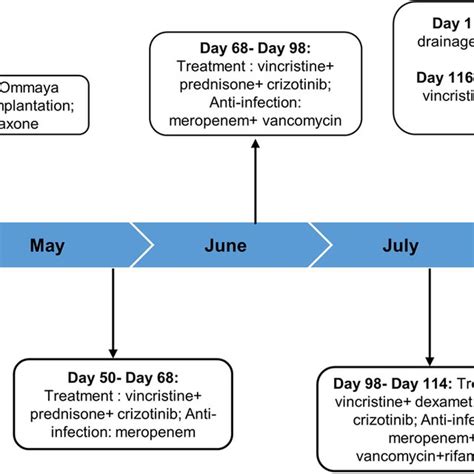 The Timeline Of Patient Treatment Download Scientific Diagram
