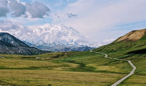 Top 12 Things To Do In Denali National Park