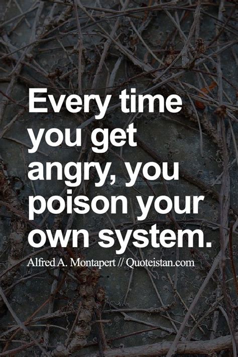 every time you get angry you poison your own system angry quote inspirational words