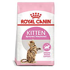 Cats have different nutritional needs than dogs do. Dry Cat Food: Best Cat Kibble Brands | PetSmart in 2020 ...