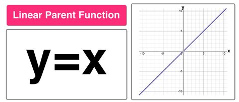 Parent Functions And Parent Graphs Explained — Mashup Math