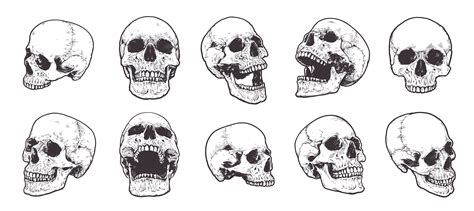 Skeleton Head Drawing Drawing Image