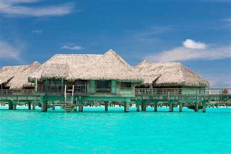 10 Bora Bora Luxury Resort Hotel Stilt Huts Stock Photos Pictures
