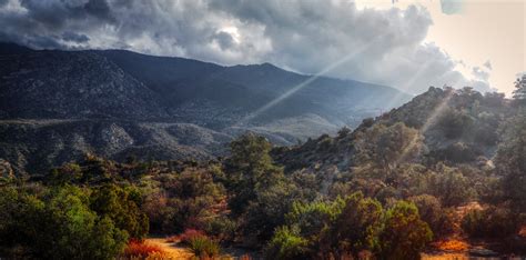 San Bernardino National Forest A California National Forest Located