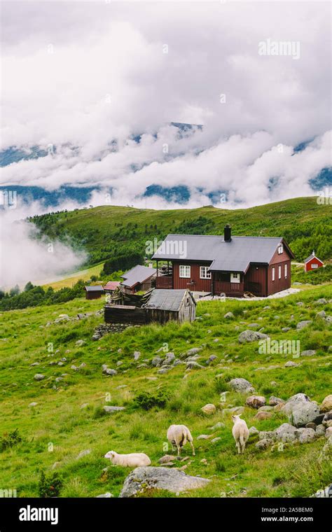 Norwegian Landscape With Typical Scandinavian Grass Roof Houses And The