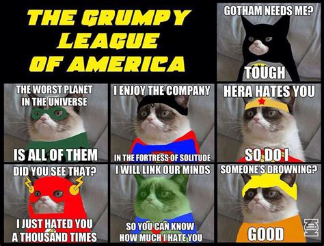 Tard The Grumpy Cat Archives Really Cute Cats