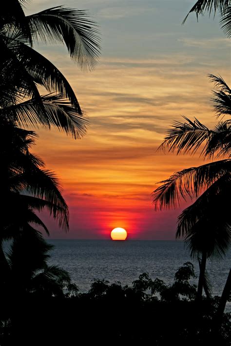 500 Stunning Tropical Sunset Pictures Hd Download Free Images On