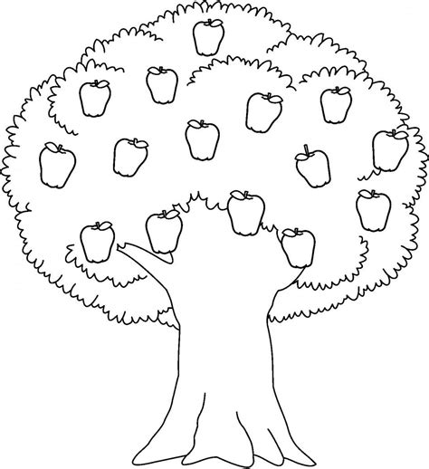 Black And White Apple Tree Clipart 101 Clip Art