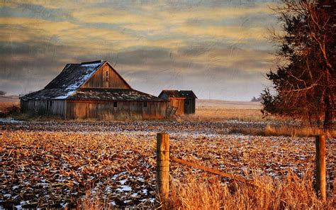 Farm Barn Wallpaper