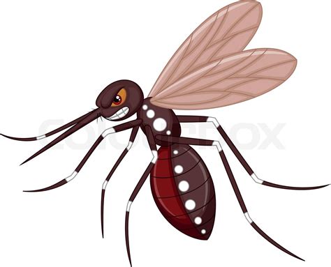 Angry Mosquito Cartoon Stock Vector Colourbox