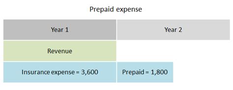 A manufacturer will report on its income statement the insurance expense incurred for its selling, general. Prepaid Expenses | Double Entry Bookkeeping