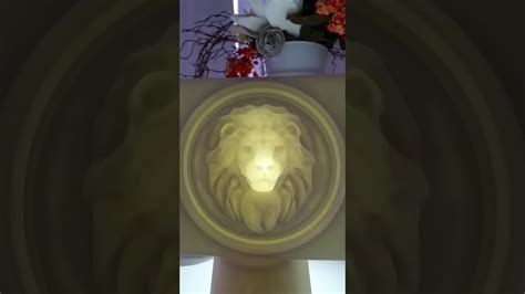 Lion 3d Optical Illusion Youtube