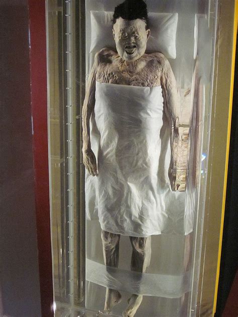 2k Year Old Preserved Body Of The Lady Of Dai Still Has Her Own Hair