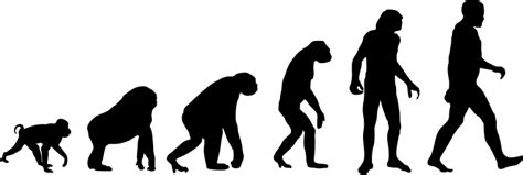 Theory Of Human Evolution Wall Sticker Tenstickers