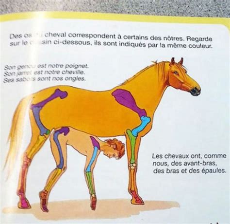 Can We Talk About This Weird Fucking Horse Picture That