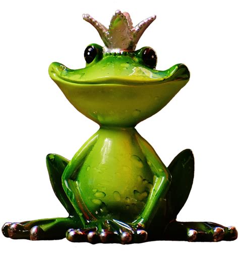 Download Frog Png Transparent Images Transparent Backgrounds The Frog