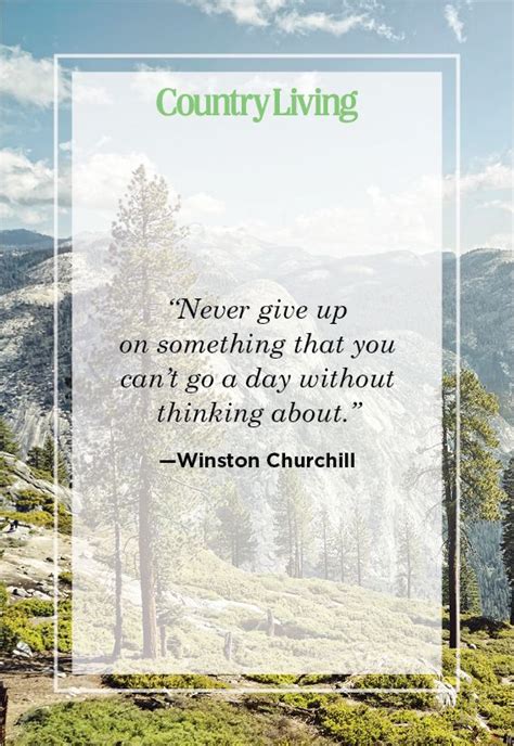 Short Inspirational Quotes About Not Giving Up Tommy Gretchen