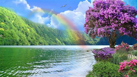 Spring Rainbow Wallpapers Wallpaper Cave