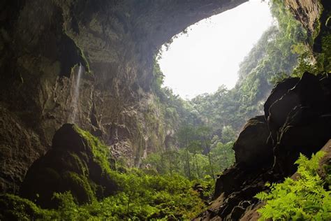 Rainforest Inside Of A Cave Son Doong Cave Vietnam Wonders Of The