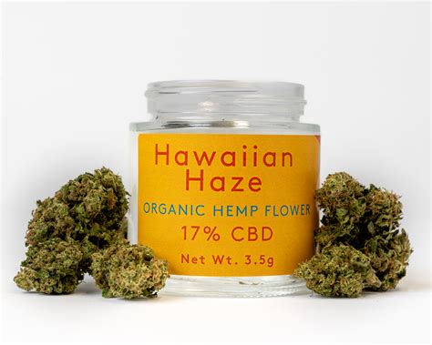 Hemp Flower Hawaiian Haze 17 Cbd Organic 35g Giordano Garden