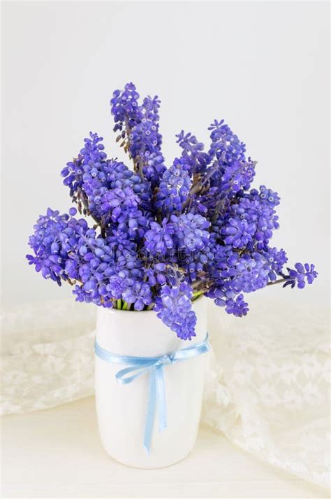Bluebell Bouquet Stock Image Image Of Ribbon Bell Frame 37256053