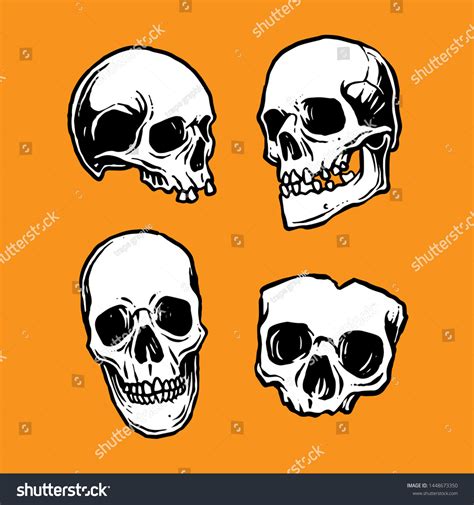 Hand Drawn Illustration Skull Stock Illustration 1448673350 Shutterstock