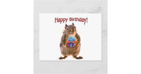 Happy Birthday Squirrel With Present Postcard Zazzle