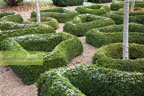 Formal Topiary Phot Stock Photo By Abigail Rex Image 0383559