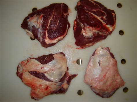 What animals migrate in canada. Beef Cheek-Meat products,Denmark Beef Cheek-Meat supplier