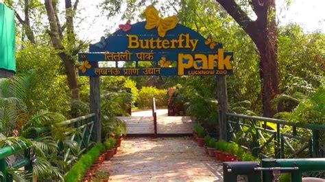 Butterfly Park Butterfly Park In Lucknow Zoo Youtube