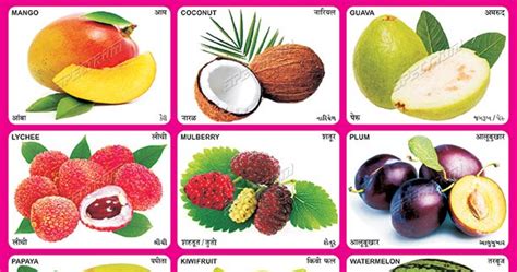 Spectrum Educational Charts Chart 394 Fruits 4