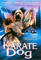 The Karate Dog image