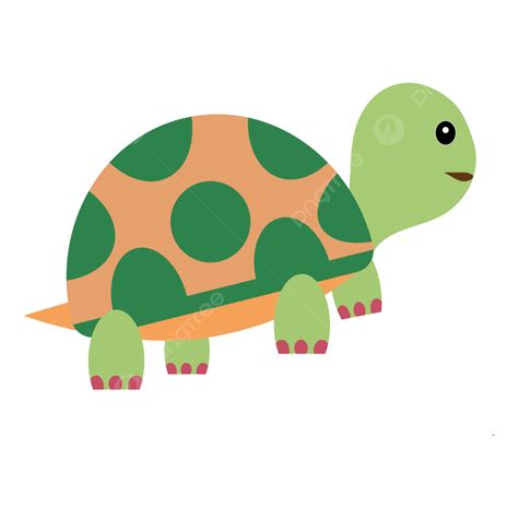 Turtle Animal Cartoon Character Icon Vector Turtle Animal Turtle