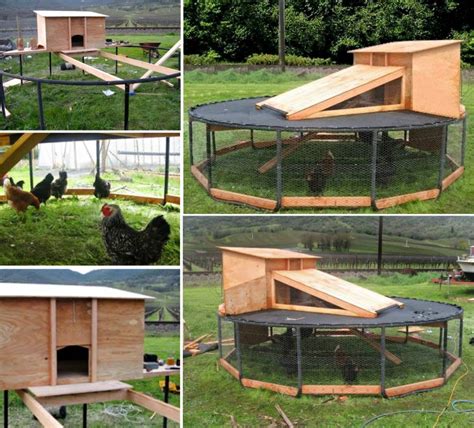 Fresh And Fun Chicken Coop Design Ideas Garden Lovers Club