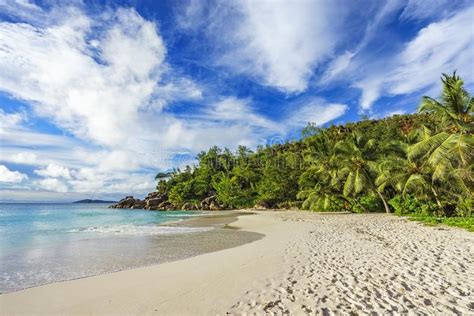 Paradise Beachwhite Sandturquoise Waterpalm Trees At Tropical Stock Image Image Of Dream