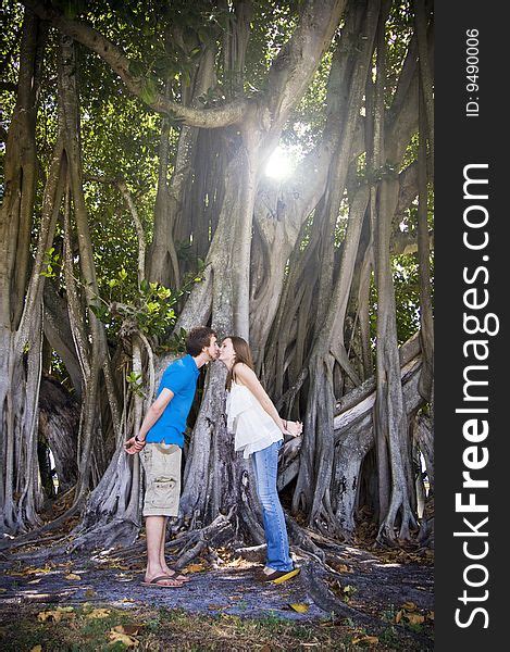 Couple Kissing Under Tree Free Stock Images Photos