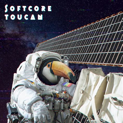 Planequarium Album By Softcore Toucan Spotify