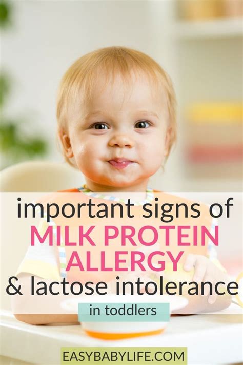 A dairy or cow's milk allergy is the most common food allergy in childhood a milk allergy occurs when the immune system mistakenly identifies one or more of the proteins in one study found that most infants develop symptoms before one month of age, often within one week of being introduced. Important Signs Of Milk Protein Allergy & Lactose Intolerance In Toddlers | Milk allergy baby ...