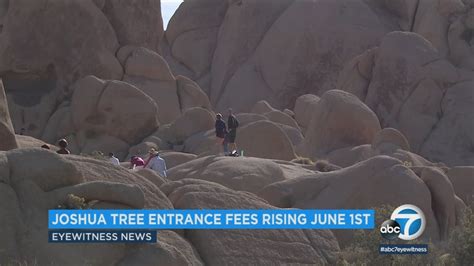 Joshua Tree National Park Entrance Fee Set To Increase On June 1 Abc7