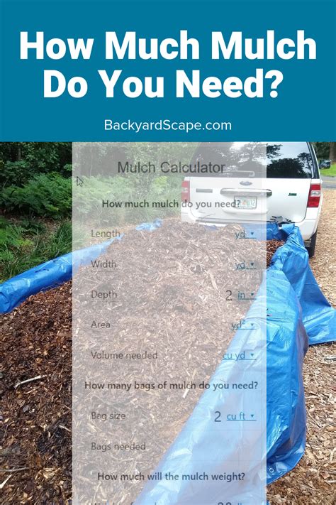 How To Lay Mulch In Your Backyard With Different Types Of Mulch Around